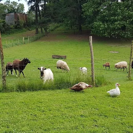 Et D'hotes Du Petit Moulin