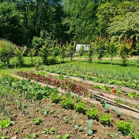 Et D'hotes Du Petit Moulin Panzió