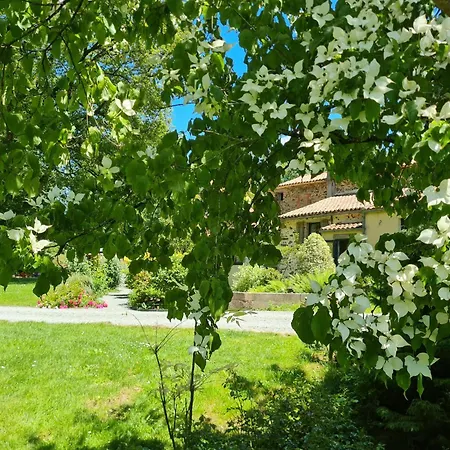 Et D'hotes Du Petit Moulin Reaumur