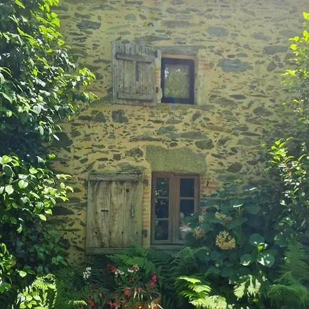Et D'hotes Du Petit Moulin * Reaumur