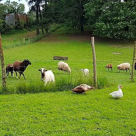 Bed & Breakfast Et D'hotes Du Petit Moulin