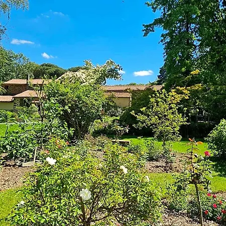 Bed & Breakfast Et D'hotes Du Petit Moulin Reaumur