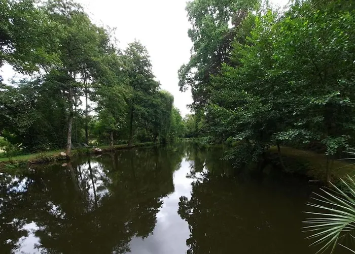 Et D'hotes Du Petit Moulin Réaumur
