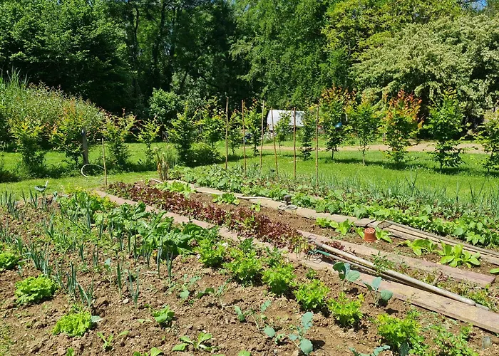 Et D'hotes Du Petit Moulin לינה וארוחת בוקר