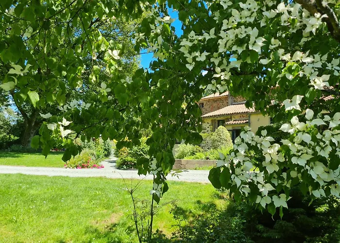 Et D'hotes Du Petit Moulin Réaumur