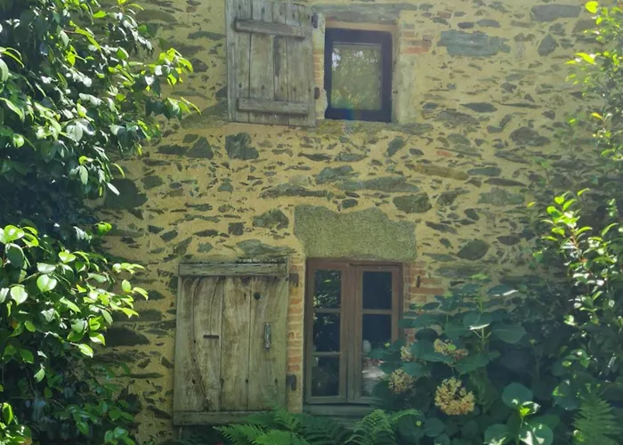 Et D'hotes Du Petit Moulin 3* Réaumur