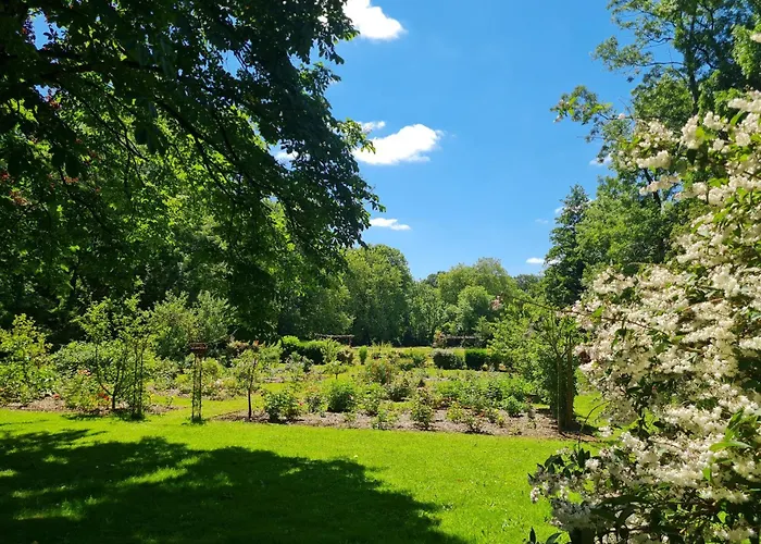 Et D'hotes Du Petit Moulin לינה וארוחת בוקר Réaumur